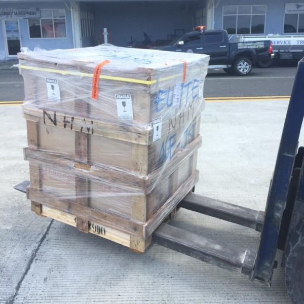 WhatsApp Image 2023-04-04 at 07.44.40 (1)