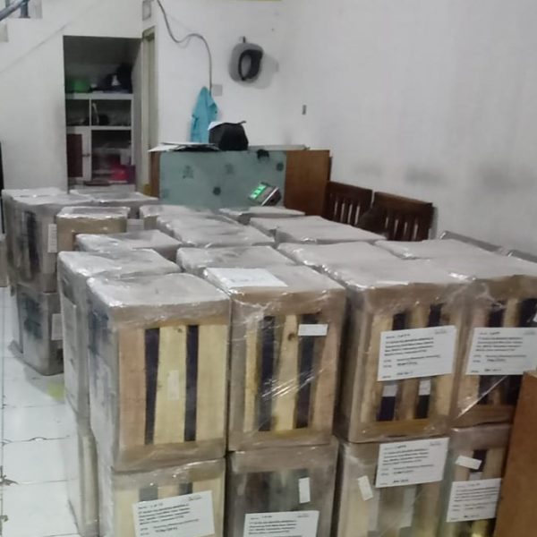 WhatsApp Image 2023-04-04 at 07.44.40