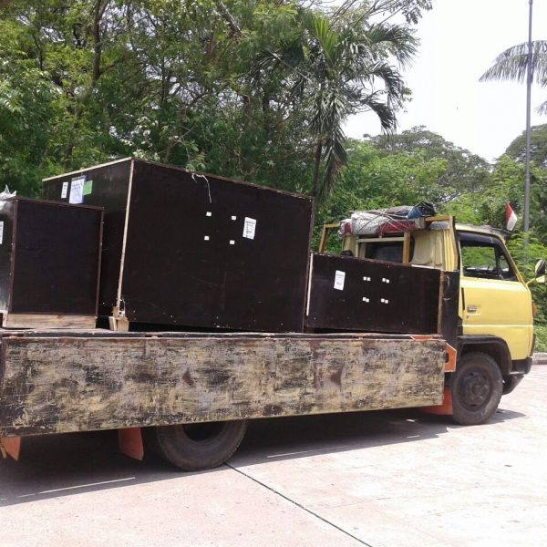 WhatsApp Image 2023-04-06 at 04.57.01 (1)